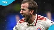 Harry Kane posts quick reaction after breaking his 15-year career trophy curse