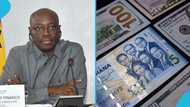 Cedi continues losses in 2026, BoG urges calm after 8.89% drop