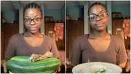 Lady finishes 2 big cucumbers with packs of groundnuts, her photos generate massive reactions