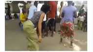 Apart from Mapouka, what other sexual dance styles do you know?