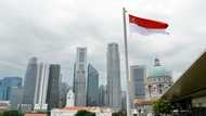 Singapore conducts two more executions: activists