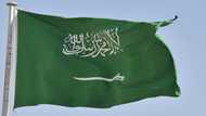 Jailed Saudi woman tweeter shrugged off risk: friend