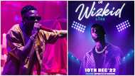 Wizkid breaks silence after failing to perform and sellout Accra Sports Stadium sparks outrage: "I don't joke with my brand"
