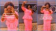 Obaapa Gladys unveils official stance for her Cobra song, Ghanaians can't stop laughing