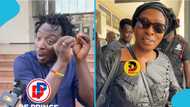 Ralph DeFellow Ghanaian questions Akosua Serwaa's public support, video stirs reactions