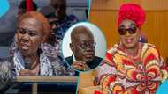 Cecilia Dapaah Scandal: Akufo-Addo appoints Freda Prempeh as new Sanitation Minister