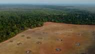 Brazil sets new Amazon deforestation record for October