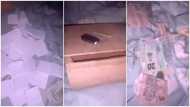 Young man in tears as money he saved in susu box for years gets replaced with papers