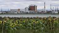 War fears at another Ukraine nuclear site