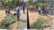 Video captures moment 'trotro' driver and mate assaulted police officer, netizens react: “This is unacceptable”