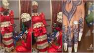Man proposes to Girlfriend in Grand Style as They are Both Dressed in Dollar Bills Attires