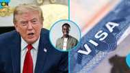 2026 Green Card Lottery: US announces selection figures and next steps for winners