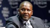 Dangote on track to close 2021 at the richest level he has ever been in 7 years, thanks to his cement company