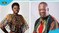 Zapp Mallet renders an apology over comment made about Afua Asantewaa