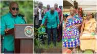 Akufo-Addo marks Green Ghana Day to help plant 20m trees, Ga Mantse, others attend event in photos