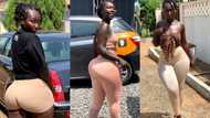 Shatta Wale's girl and Ebony look-alike stuns Ghanaian men with fresh photo showing her natural shape