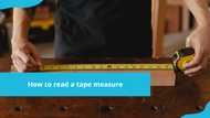 Full guide on how to read a tape measure in inches and centimetres (with photos)