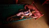 Sudan's gold rush wreaks havoc on health