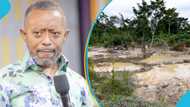 "We can all speak our minds": Owusu-Bempah blames Akufo-Addo for galamsey devastation