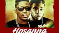 Shatta Wale - Hosanna, a hit or a miss?