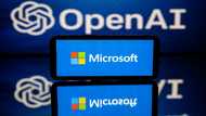 EU examines Microsoft investment in OpenAI