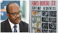 Cedi depreciation compels BoG to clampdown on 'law-breaking' forex bureaus