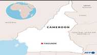 Toll in Cameroon landslide rises to 15