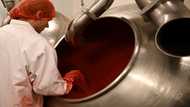 Confectionery firm turns vegan to avoid Brexit checks