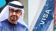 UAE names 3 family members Golden Visa holders can sponsor for residency