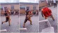 Masquerade dances to music & twerks in video as people scream; many react