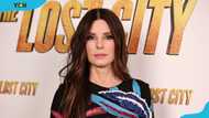 The best Sandra Bullock's movies to watch, from the classics to the latest