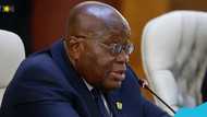 Akufo-Addo calls for creation of ECOWAS standby force to deter coups