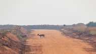 Curse or blessing? In Uganda, oil project gets mixed reviews