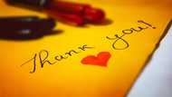 List of nice thank you messages for special gifts