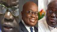 These are the stylishly retro glasses that add to Nana Akufo-Addo's brand