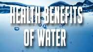 Importance of water to health