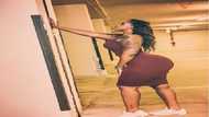 11 pictures that prove Matilda Hipsy is a national treasure