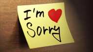 Romantic apology message for her