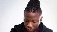 Stonebwoy Twin Brother: Does He Exist
