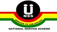 The process of downloading and filling the NSS annual report form