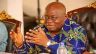 Akufo-Addo was wrong to have endorsed Jospong - Osafo Maafo