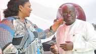 20 photos to celebrate Nana Addo and Rebecca Akufo-Addo's 20th wedding anniversary