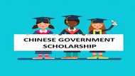 Online Chinese government scholarship application 2018-2019