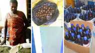 From drinks, soup to toffees; here are all the interesting ways Ghanaians are using marijuana