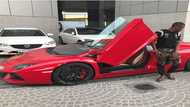 Welcome to luxurious world of Ibrah One filled with the latest models of mind-blowing cars