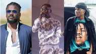 Shatta Wale is a mate, you are a son - Samini 'disgraces' Stonebwoy over his Grammy Awards' Tweet