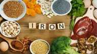 Top 10 Foods Rich in Iron