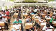 Pidgin English made many WASSCE students fail - WAEC