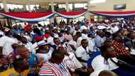 All the photos from NPP's regional elections underway