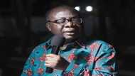 NPP chairman and MP assaulted by members; party office and cars destroyed (Photo)